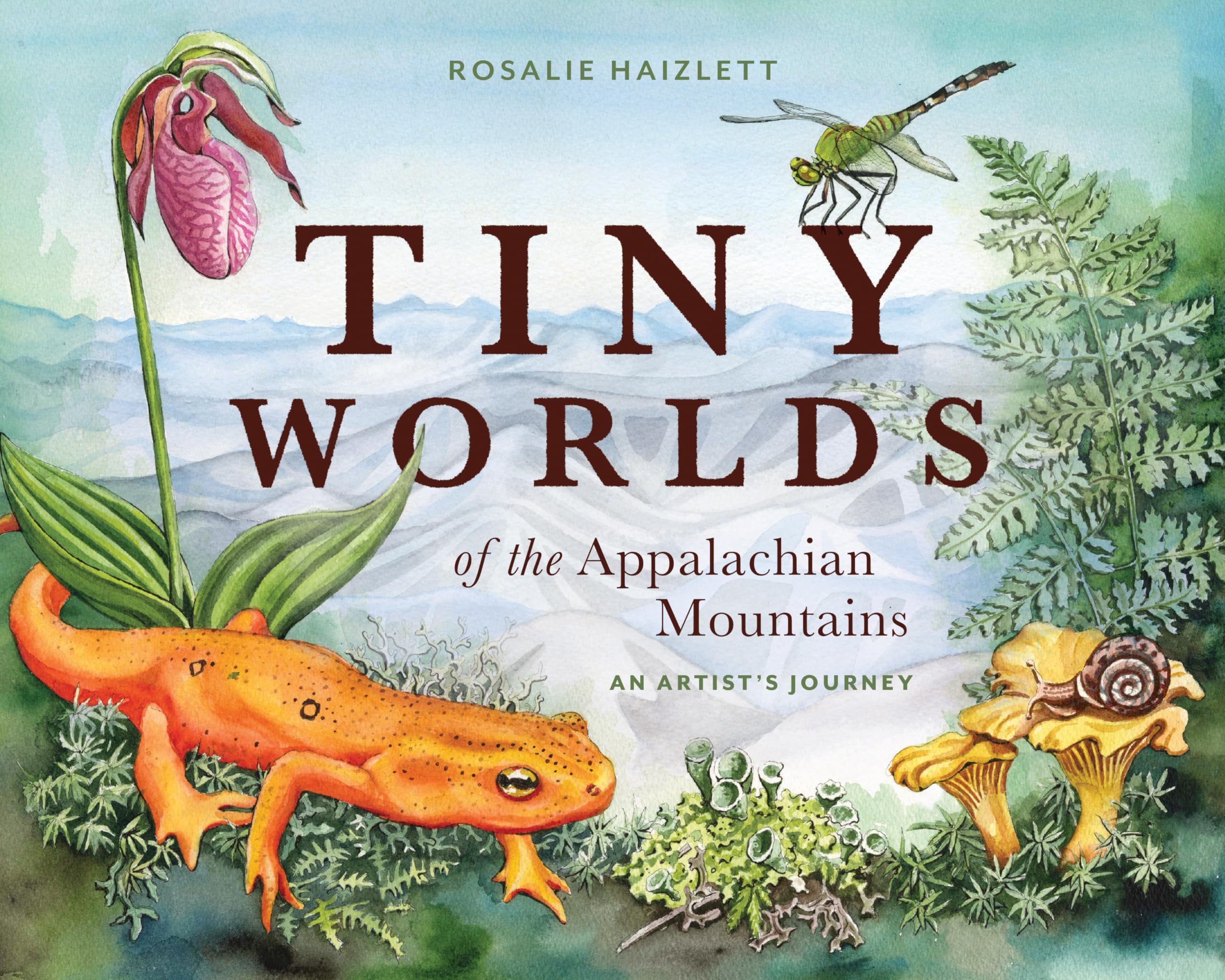 Tiny Worlds of the Appalachian Mountains: An Artist's Journey Film, Art & Culture