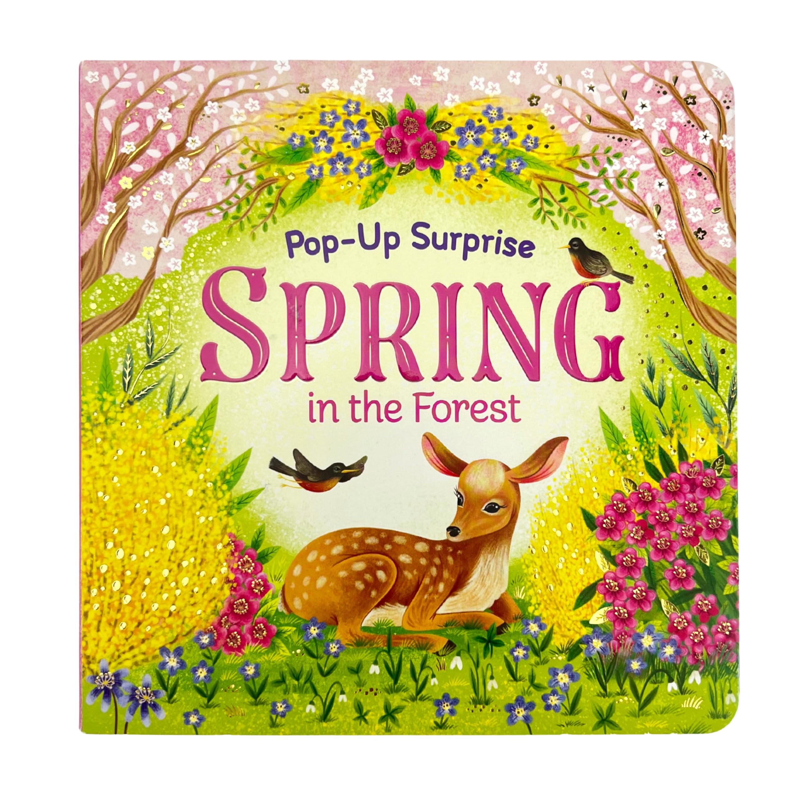 Spring in the Forest (Lift-a-flap Surprise) Parents & Children