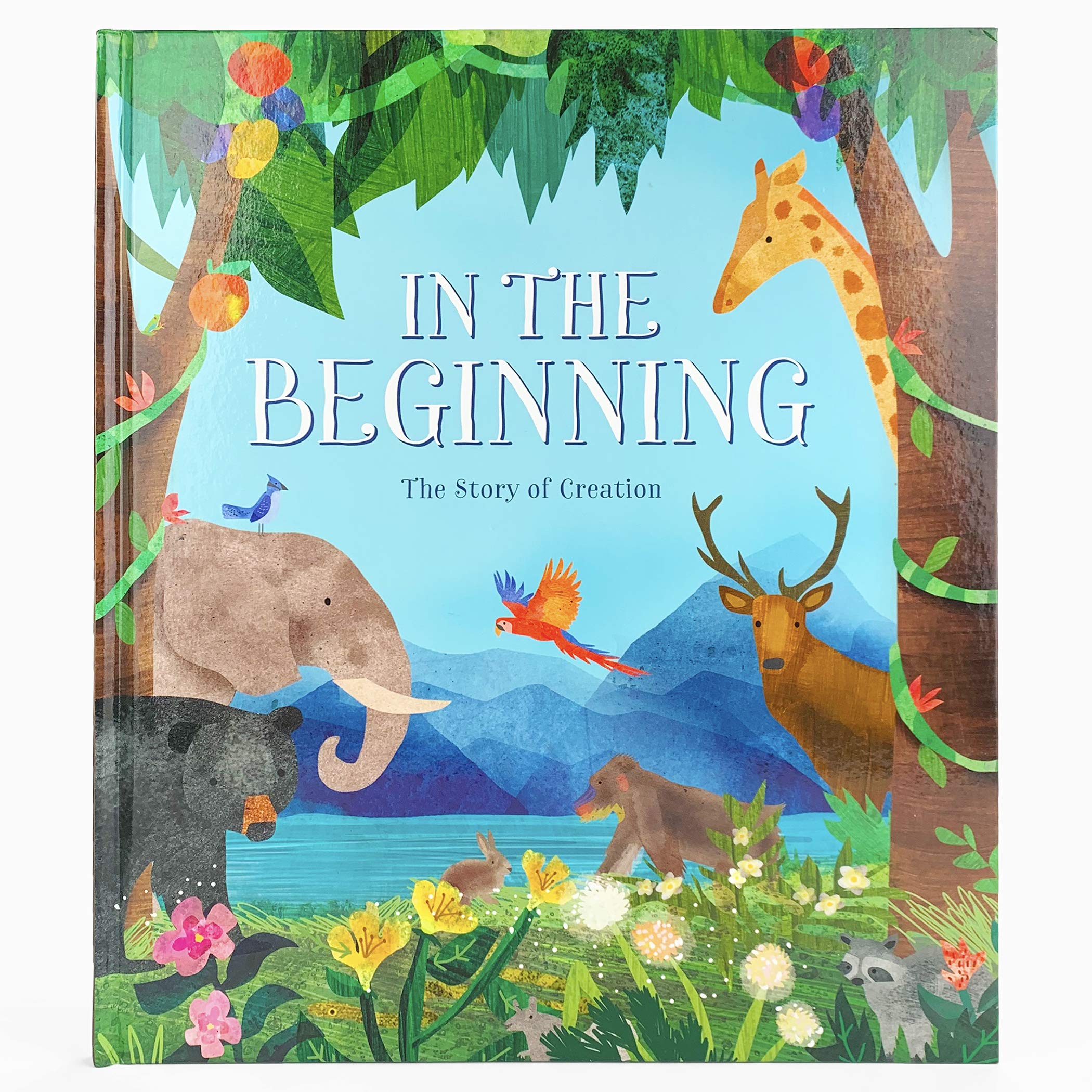 In the Beginning: The Story of Creation Non-fiction