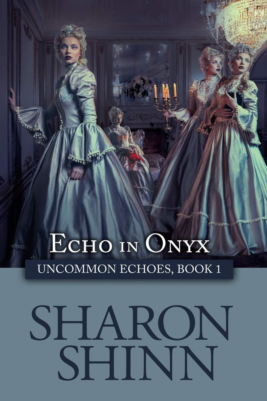 Echo in Onyx Contemporary literature Books