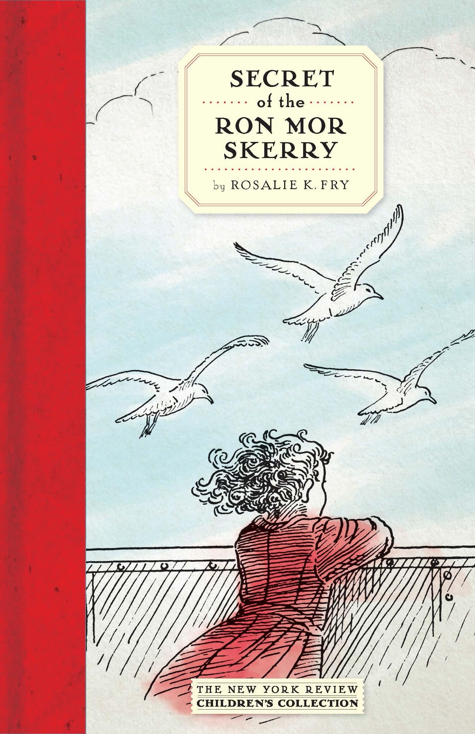 Secret of the Ron Mor Skerry book
