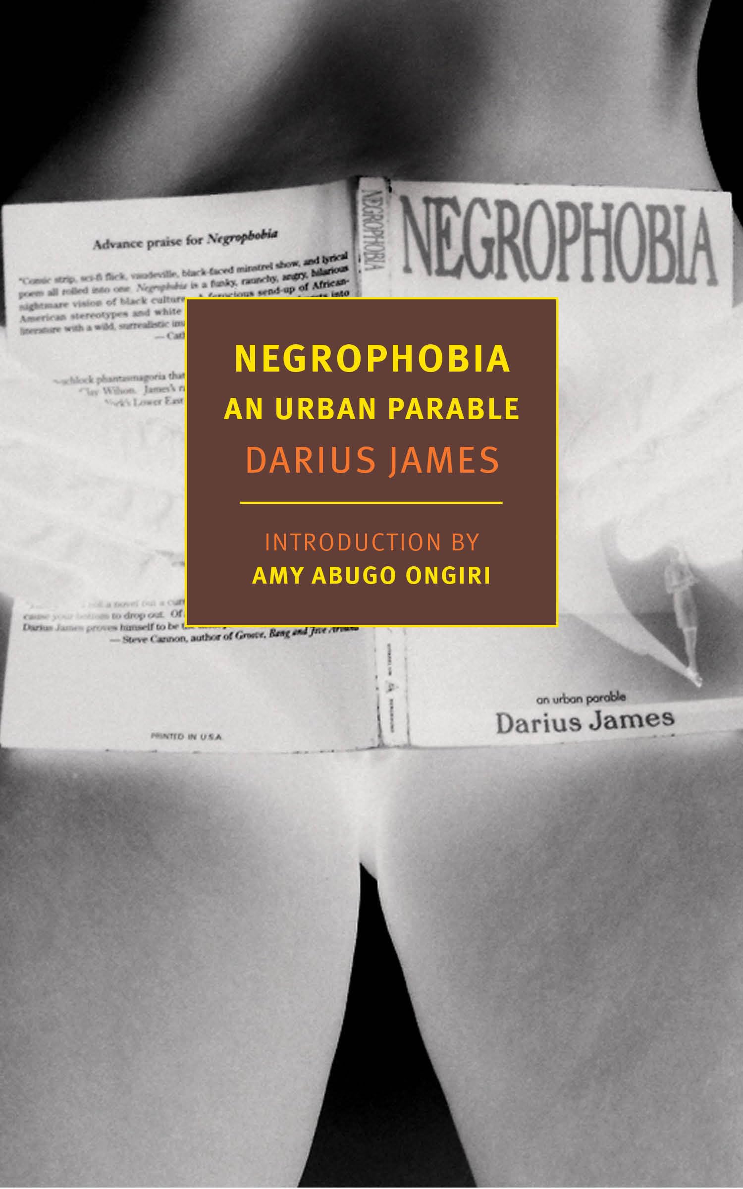 Negrophobia: An Urban Parable (New York Review Books Classics) Contemporary literature
