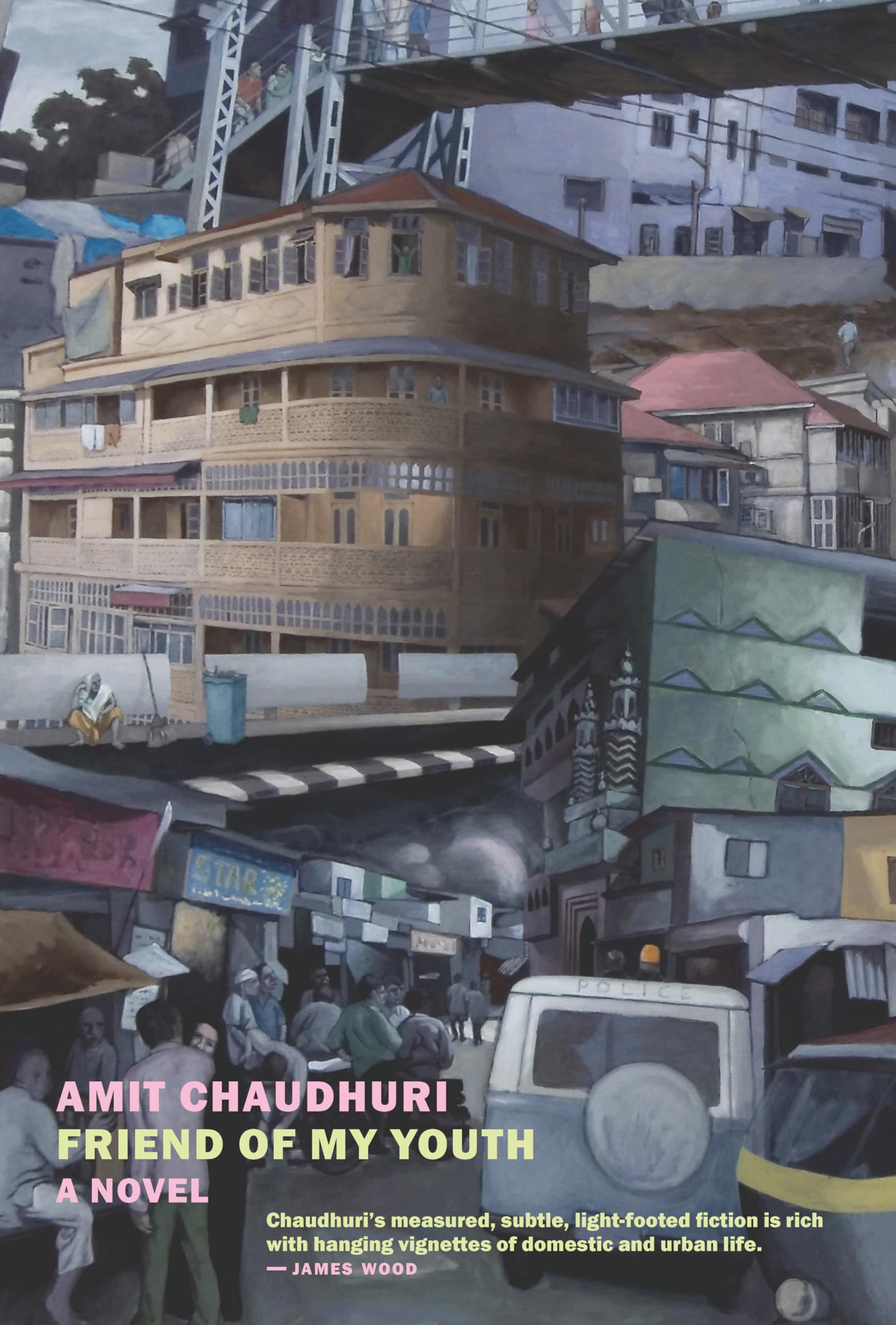 Friend of My Youth book
