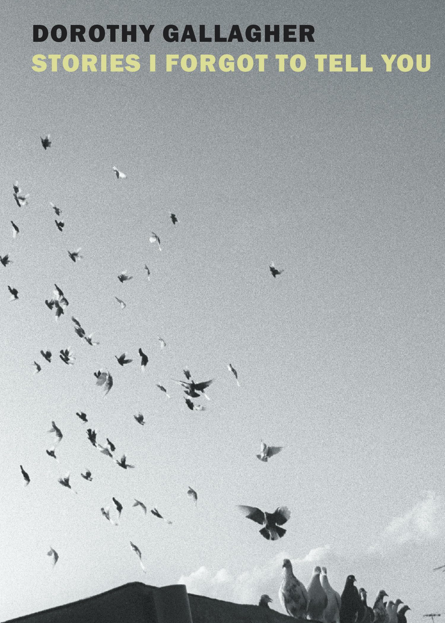 Stories I Forgot to Tell You Media & Communication