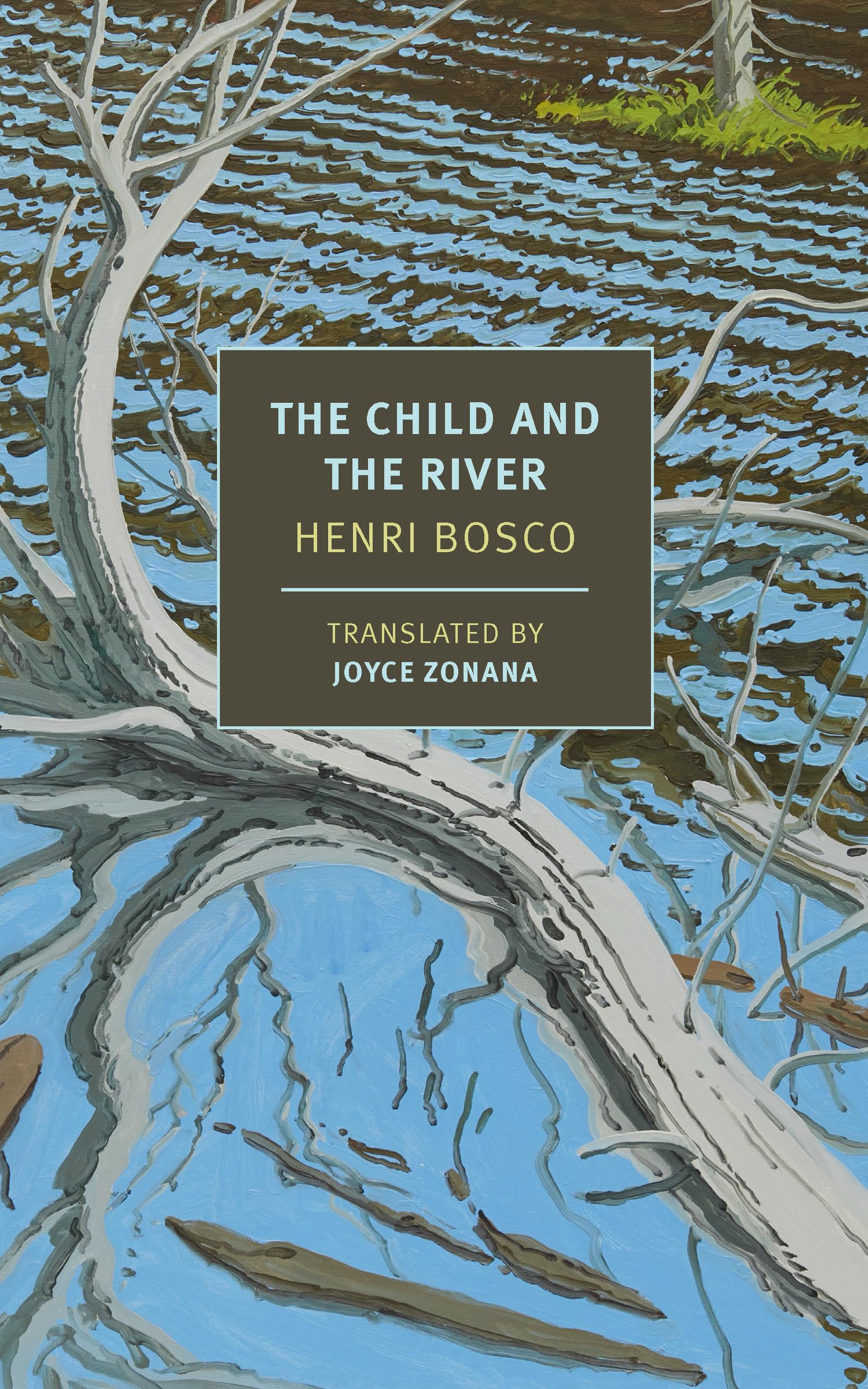 The Child and the River (New York Review Books Classics) Contemporary literature