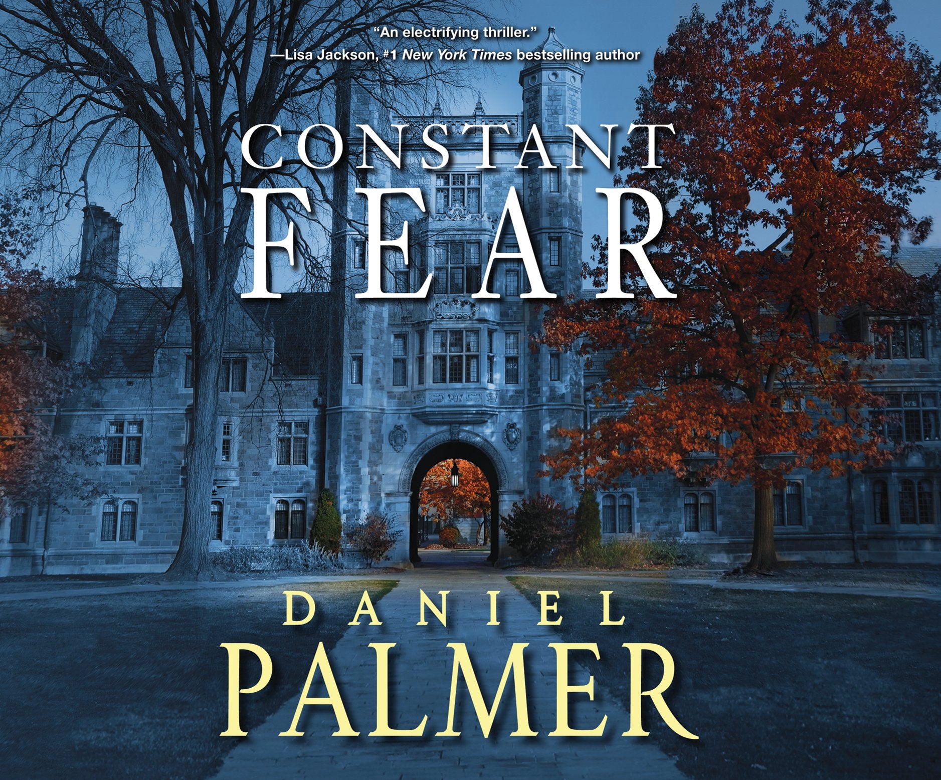 Product Image: Palmer, D: CONSTANT FEAR                M
