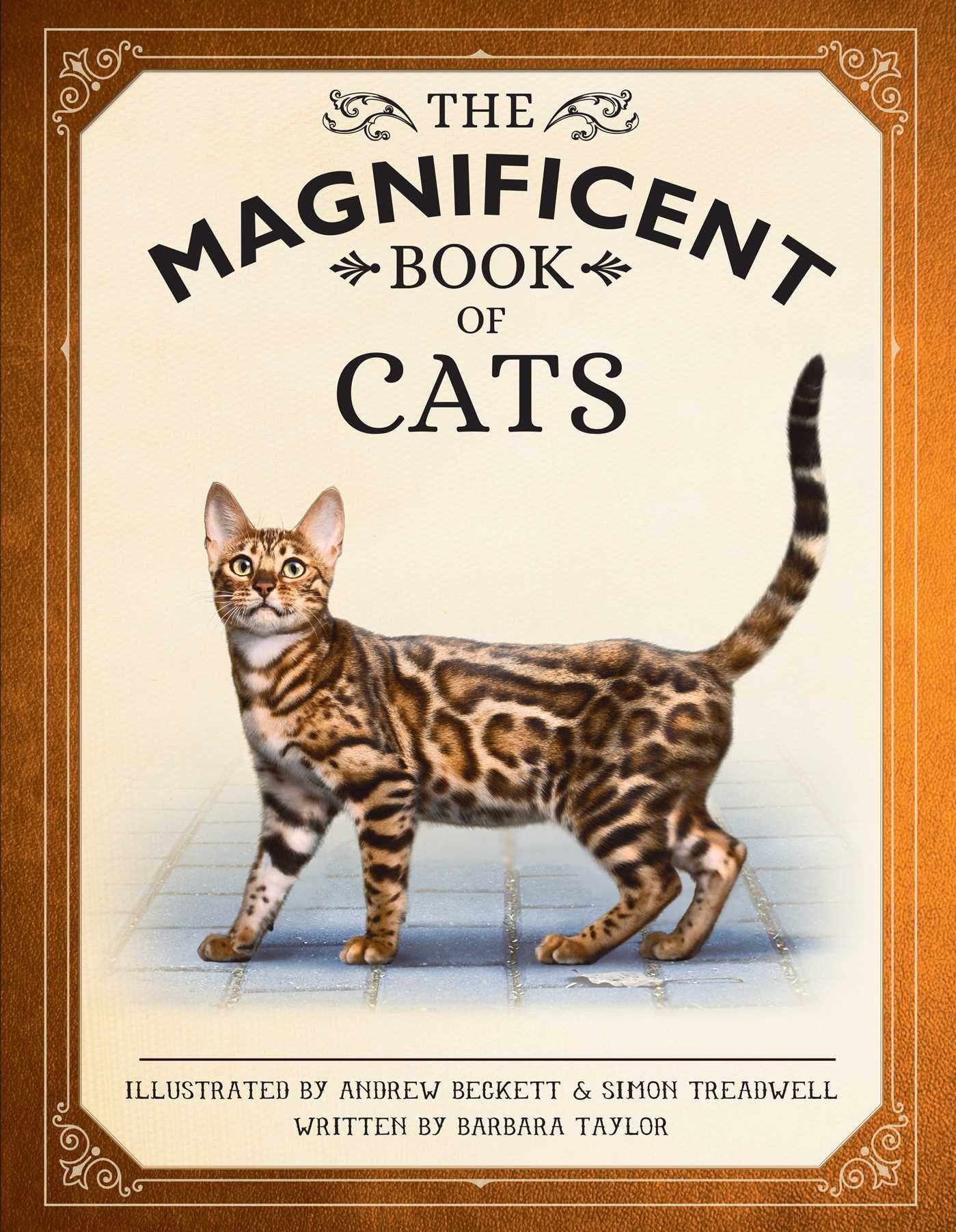 The Magnificent Book of Cats: (Kids Books About Cats, Middle Grade Cat Books, Books About Animals) Non-fiction