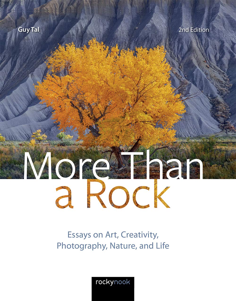 More Than a Rock: Essays on Art, Creativity, Photography, Nature, and Life Photography