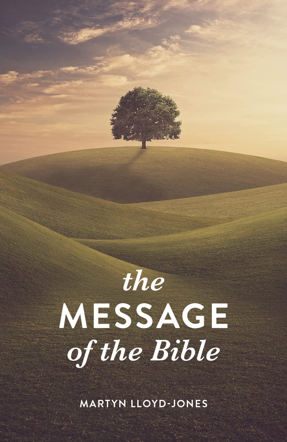 The Message of the Bible (Pack of 25) Religion & Esotericism