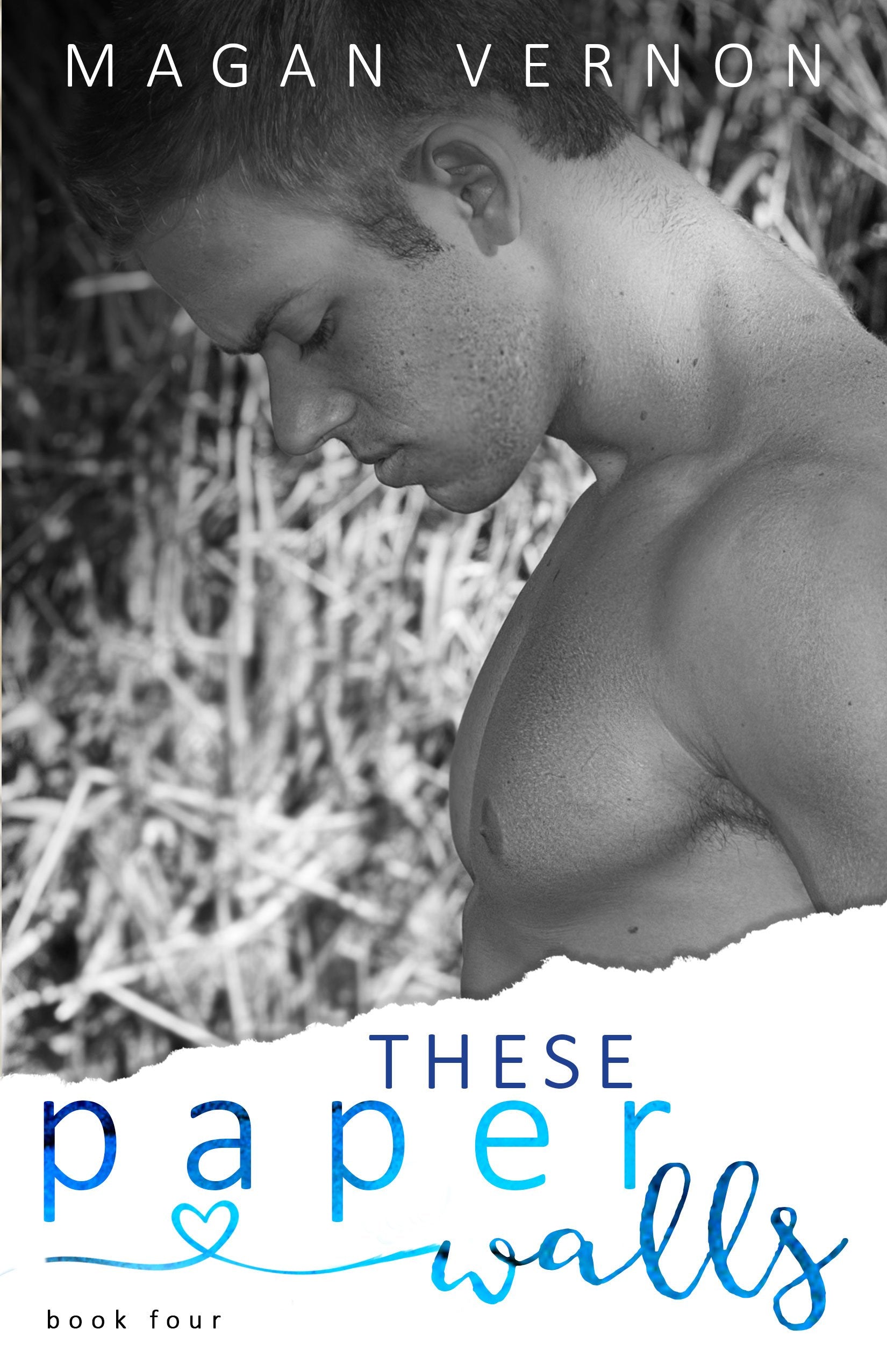 These Paper Walls (My Paper Heart Series, 4, Band 4) Contemporary literature