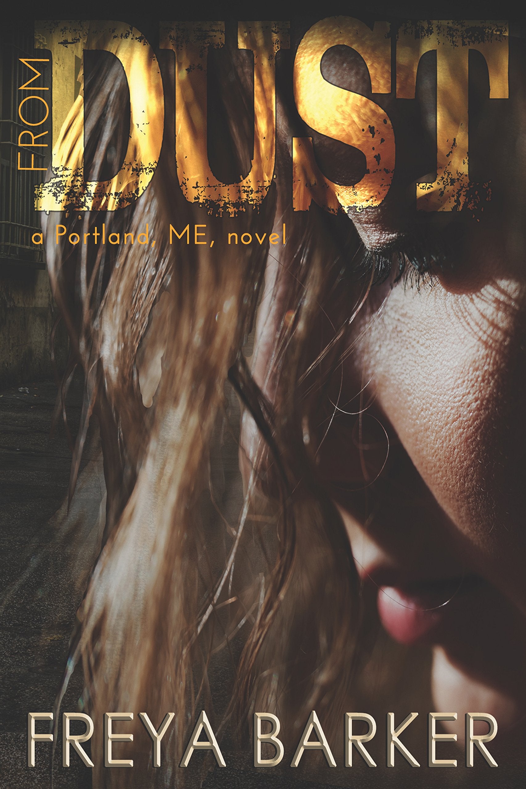 From Dust: a Portland, ME, novel (Portland, ME, 1, Band 1) Contemporary literature