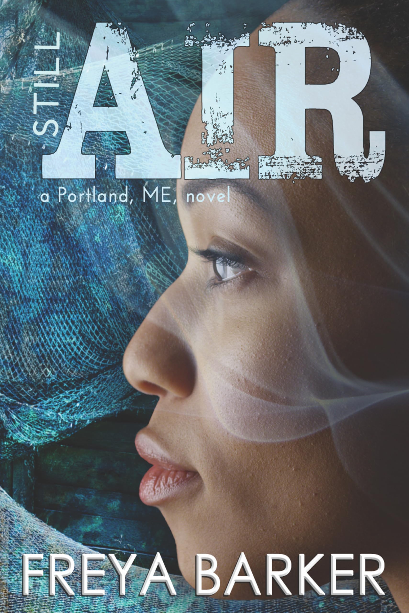 Still Air: a Portland, ME, novel (Portland, ME, 4, Band 4) Contemporary literature