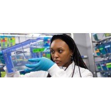 Product Image: Perspective on Zoology I. K. Charles