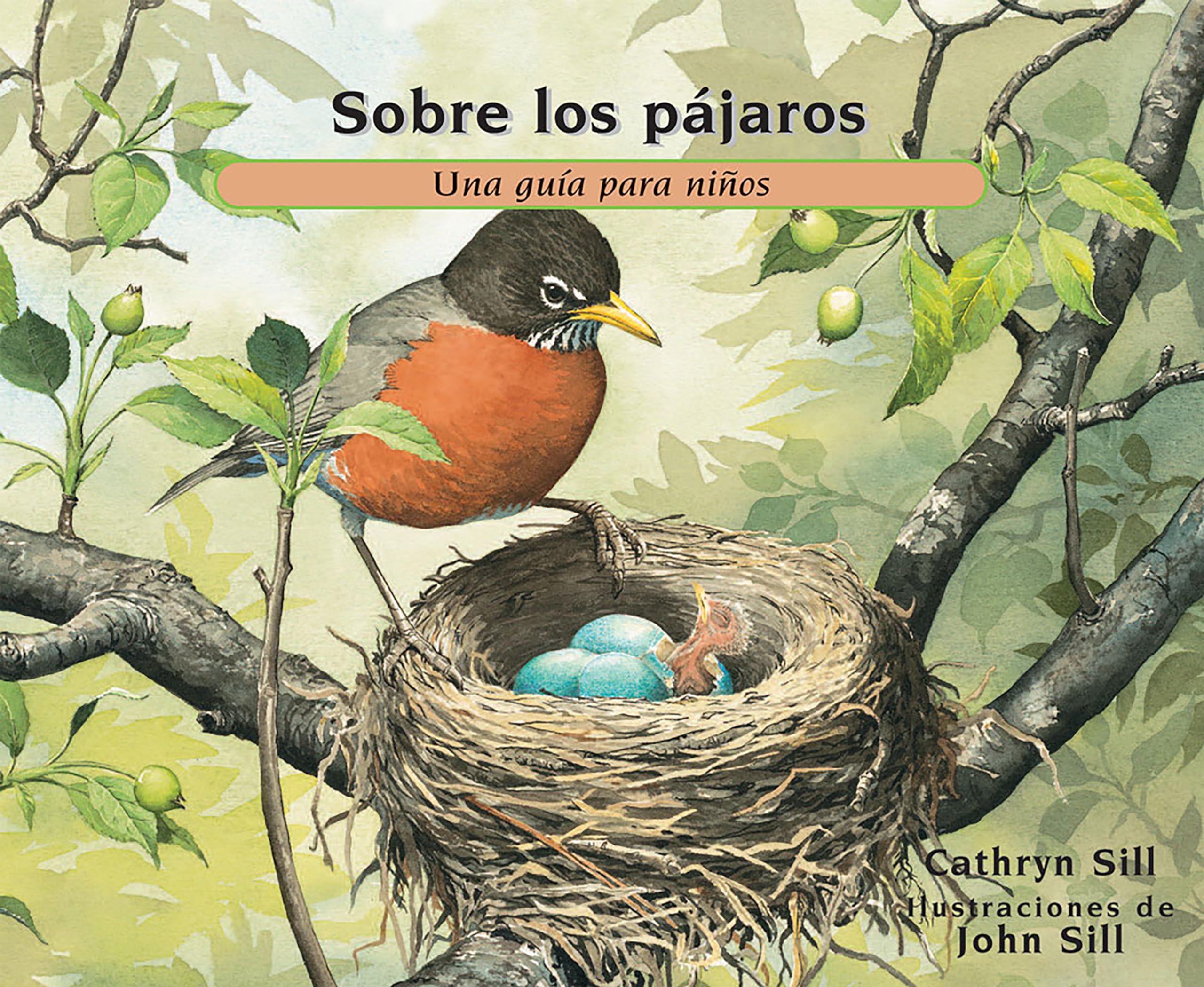Sobre los pájaros: Una guía para niños (About. . ., Band 25) Natural Sciences