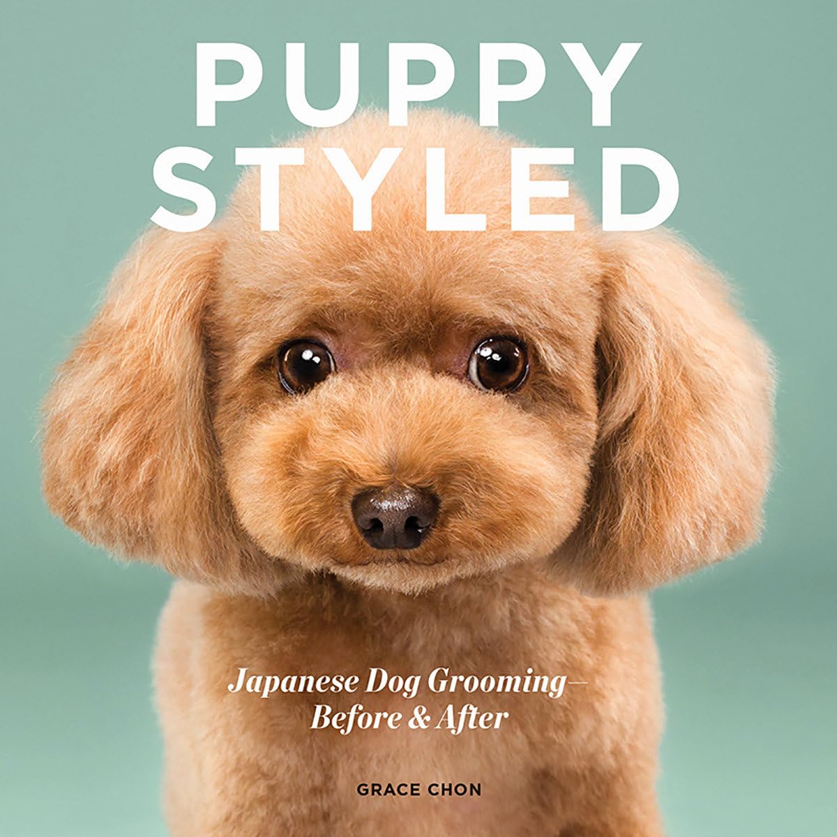 Puppy Styled Photography