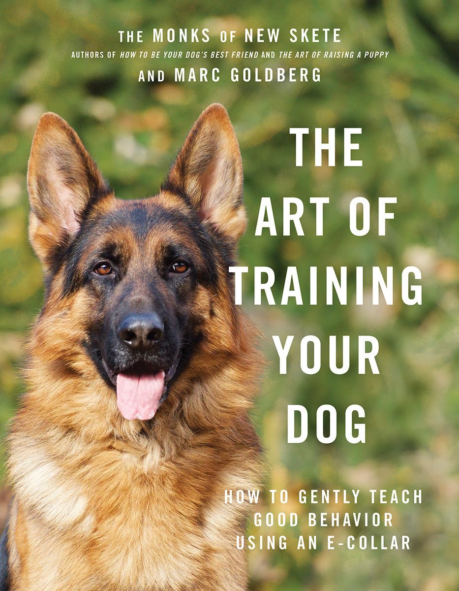 The Art of Training Your Dog: How to Gently Teach Good Behavior Using an E-Collar Pets