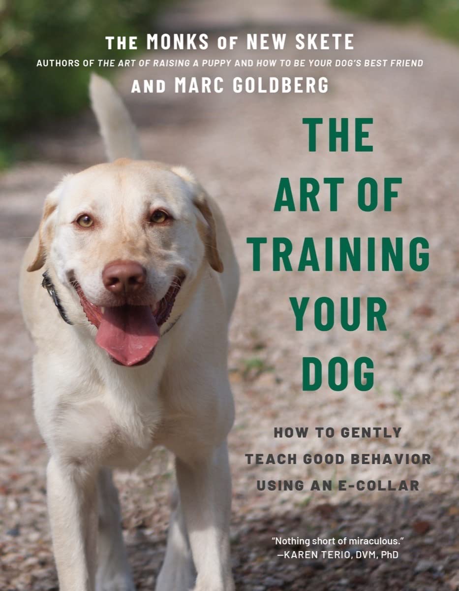 The Art of Training Your Dog: How to Gently Teach Good Behavior Using an E-collar Pets