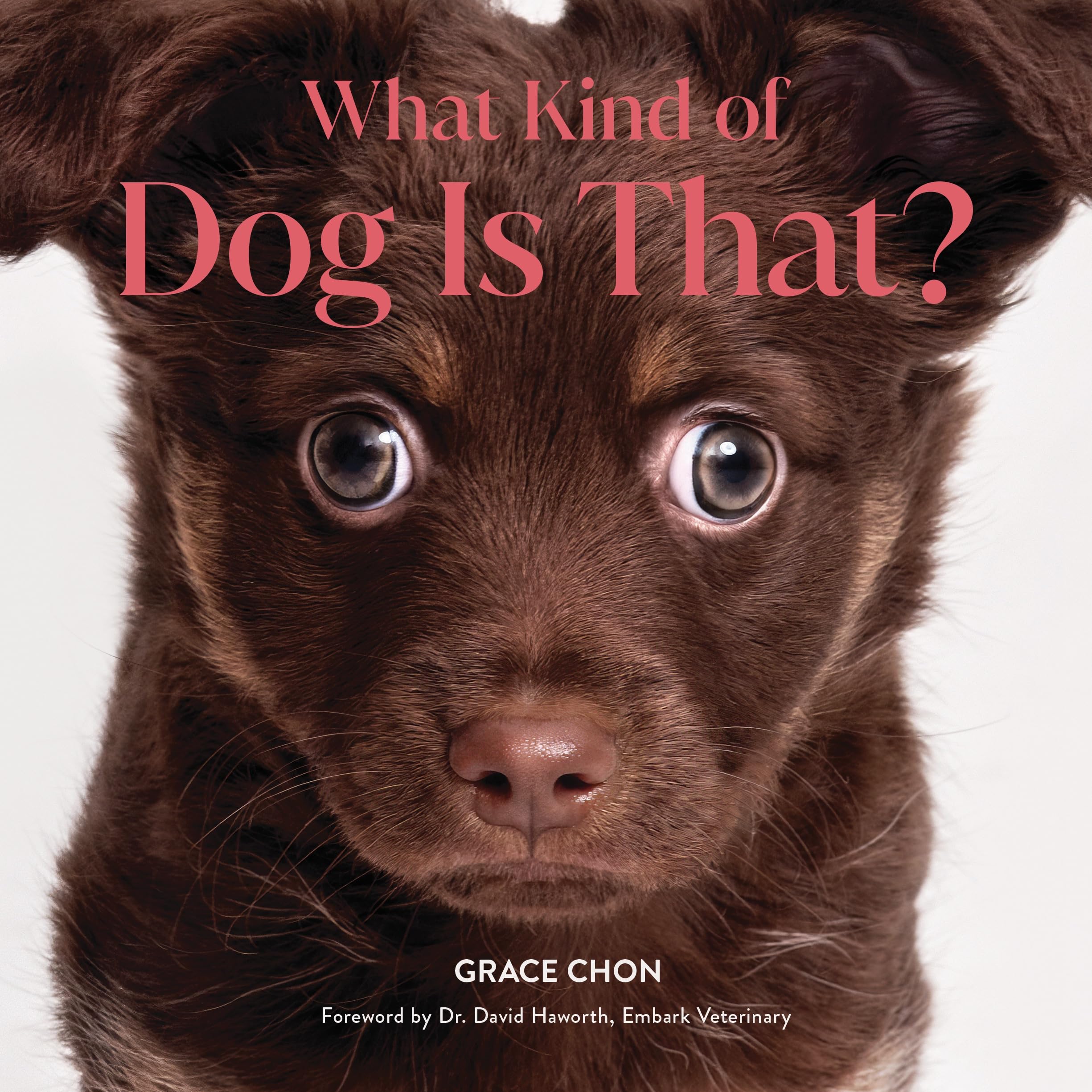 What Kind of Dog Is That? Pets