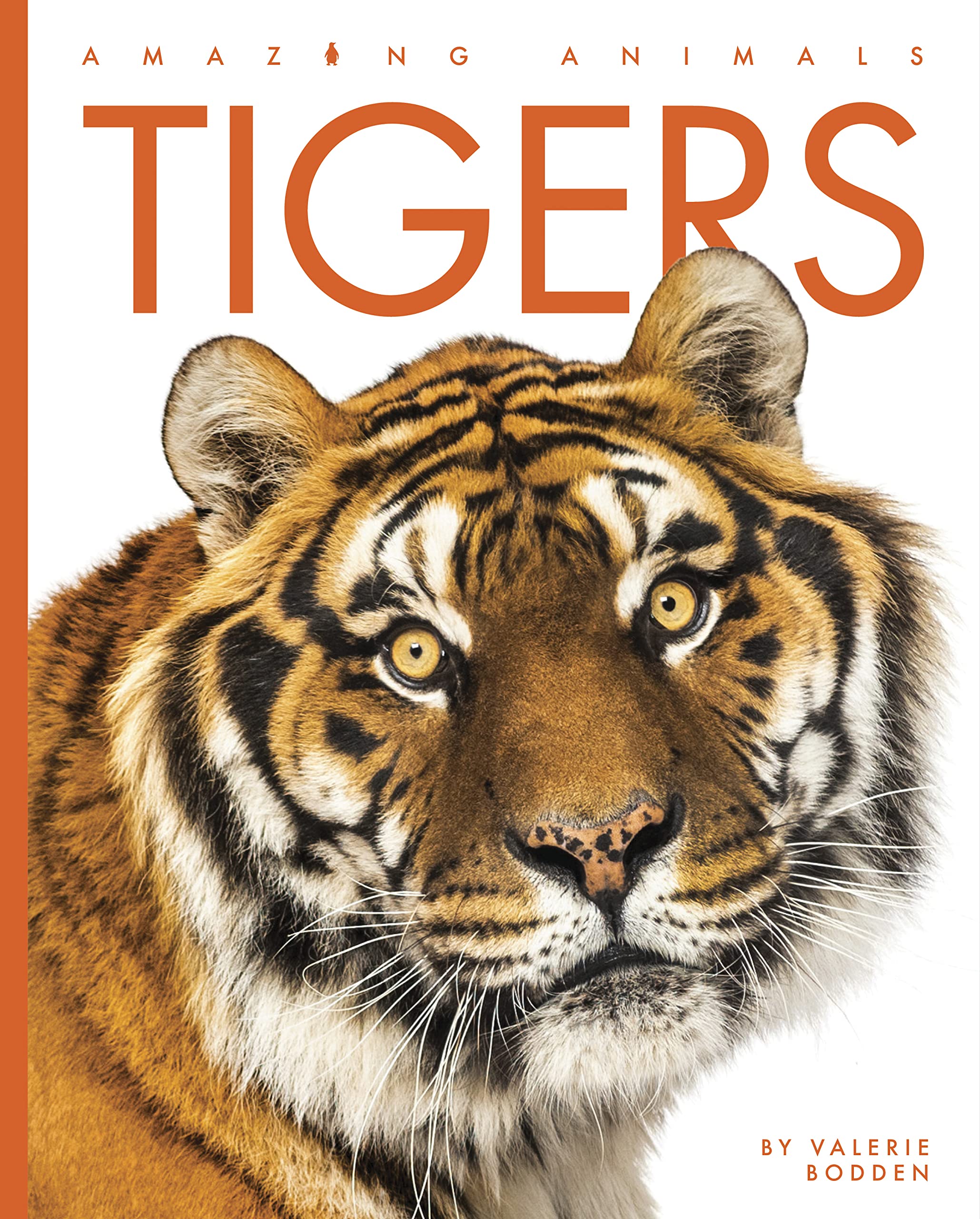 Tigers (Amazing Animals) Mathematics