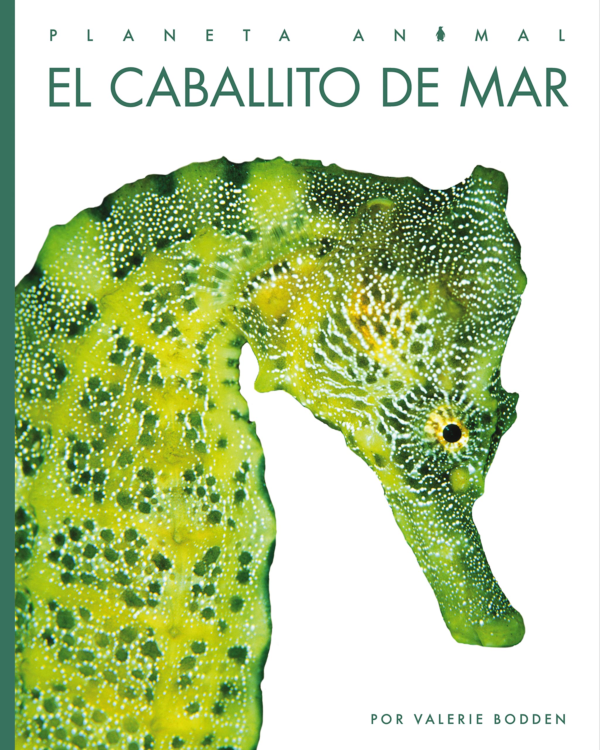 El caballito de mar / Seahorses (Planeta Animal / Animal Planet) Non-fiction