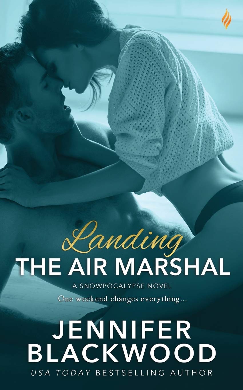 Landing the Air Marshal book