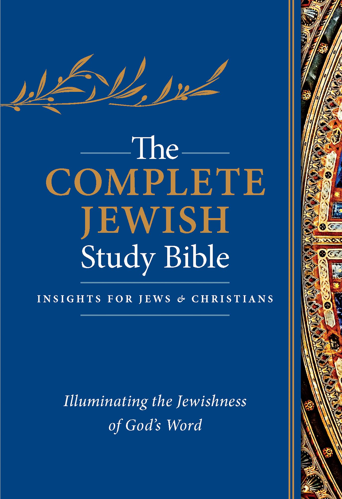 The Complete Jewish Study Bible: Illuminating the Jewishness of God's Word Religion & Esotericism