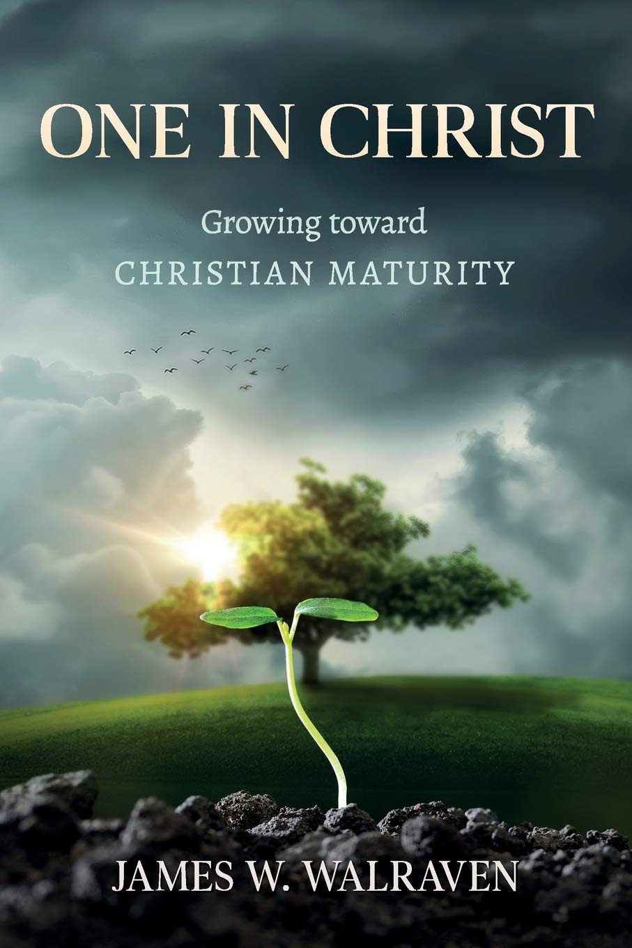 One in Christ: Growing Toward Christian Maturity Religion & Esotericism