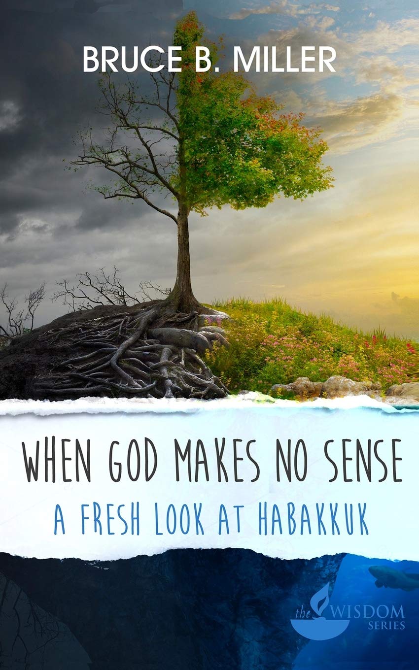 When God Makes No Sense: A Fresh Look at Habakkuk (Wisdom, Band 3) Religion & Esotericism