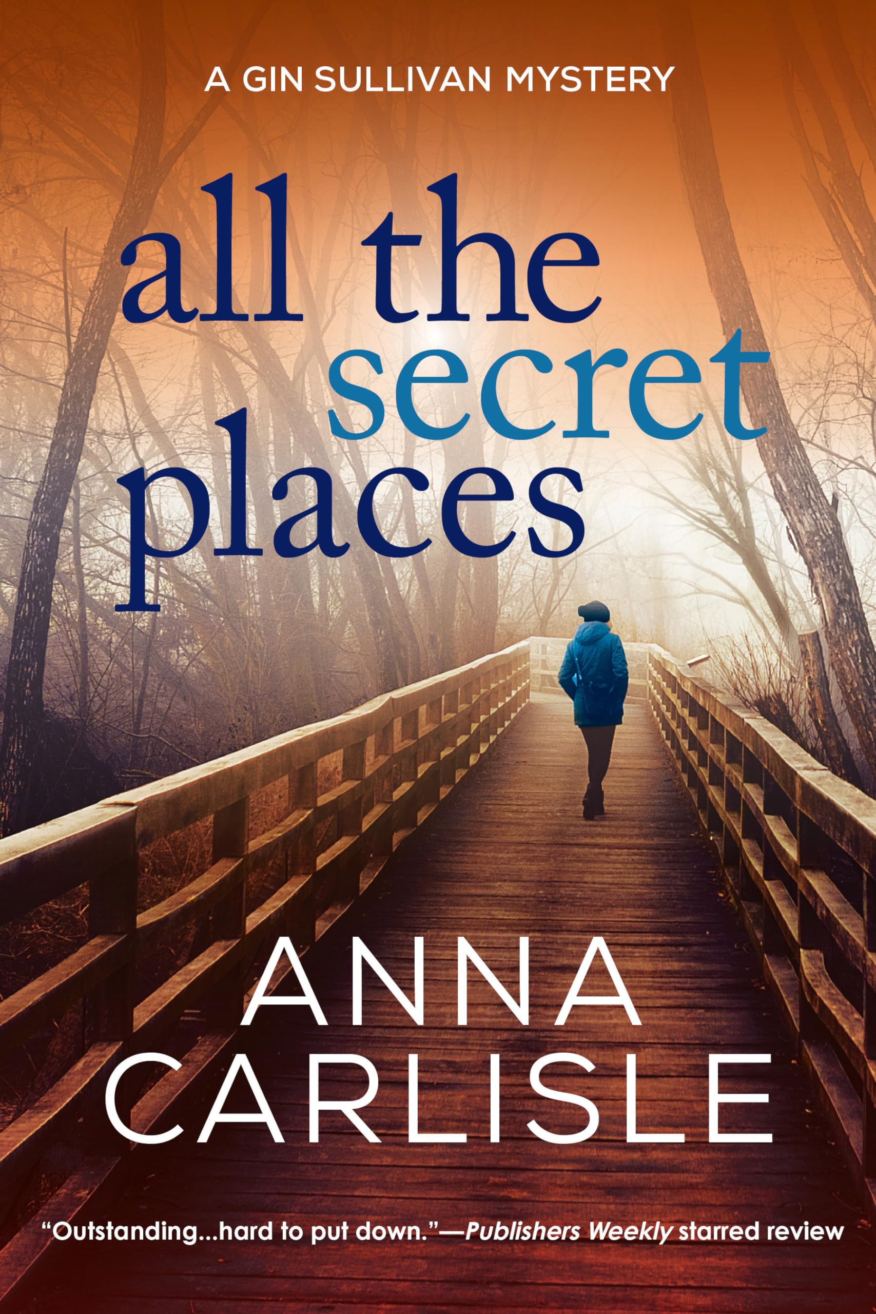 All the Secret Places: A Gin Sullivan Mystery Contemporary literature