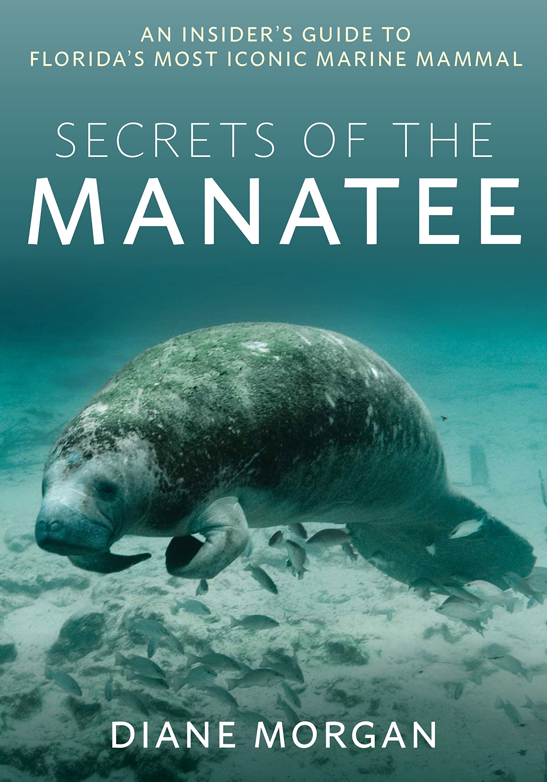 Secrets of the Manatee: An Insider's Guide to Florida's Most Iconic Marine Mammal Mathematics