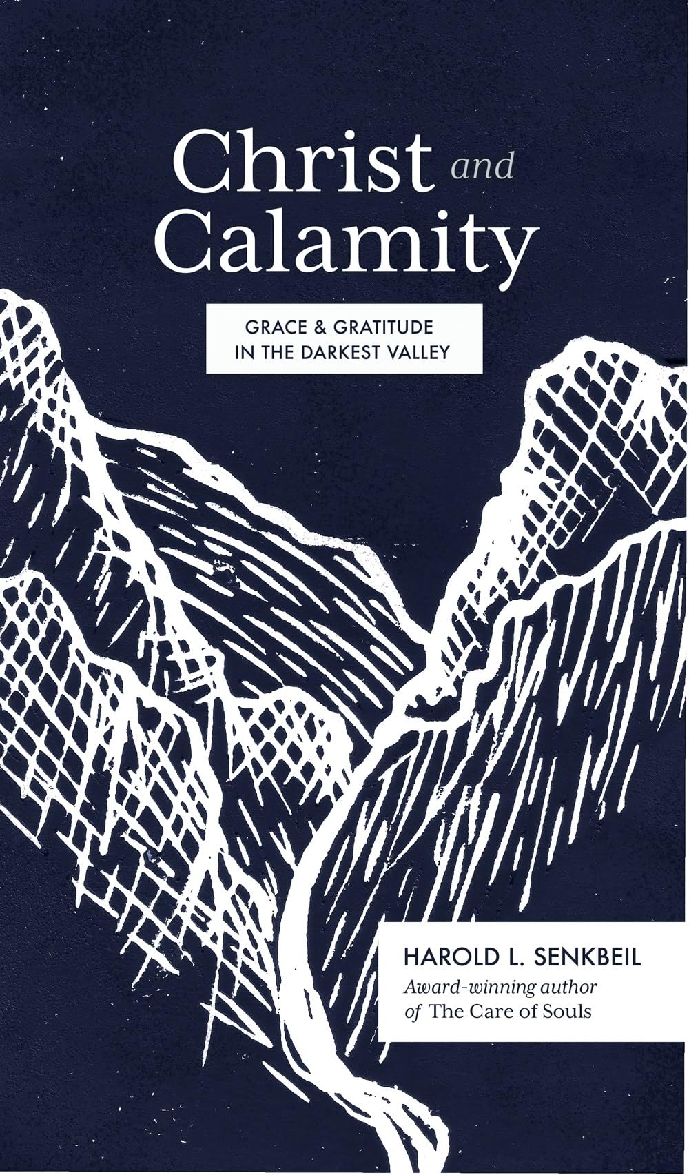 Christ and Calamity: Grace & Gratitude in the Darkest Valley book