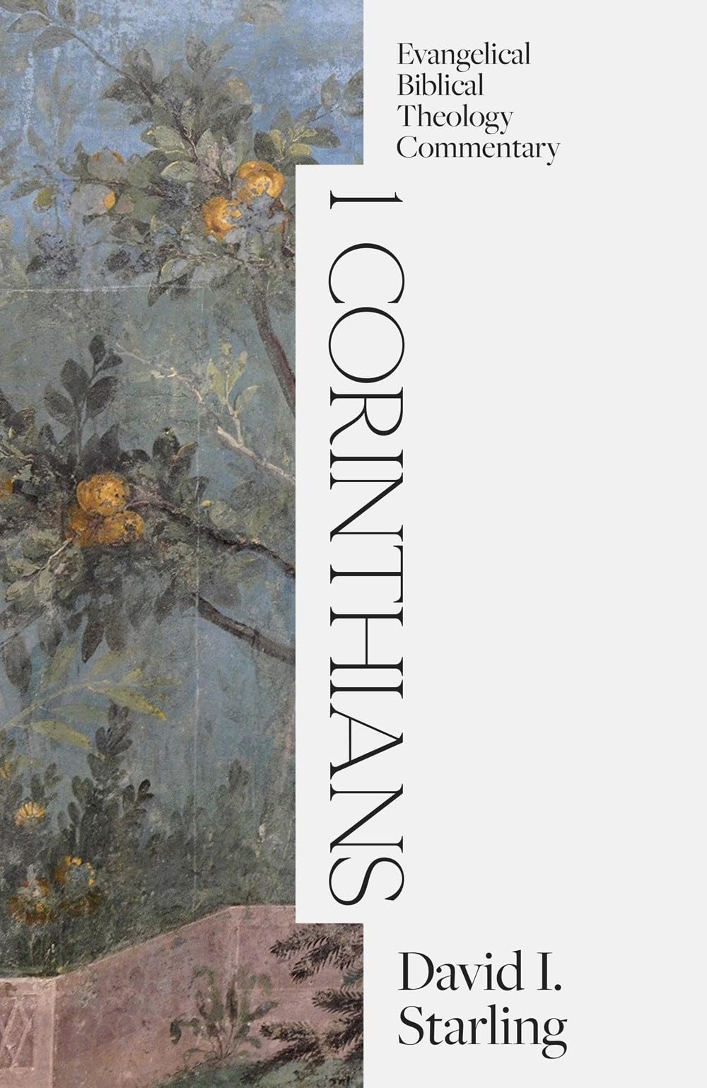 1 Corinthians: Evangelical Biblical Theology Commentary Religion & Esotericism