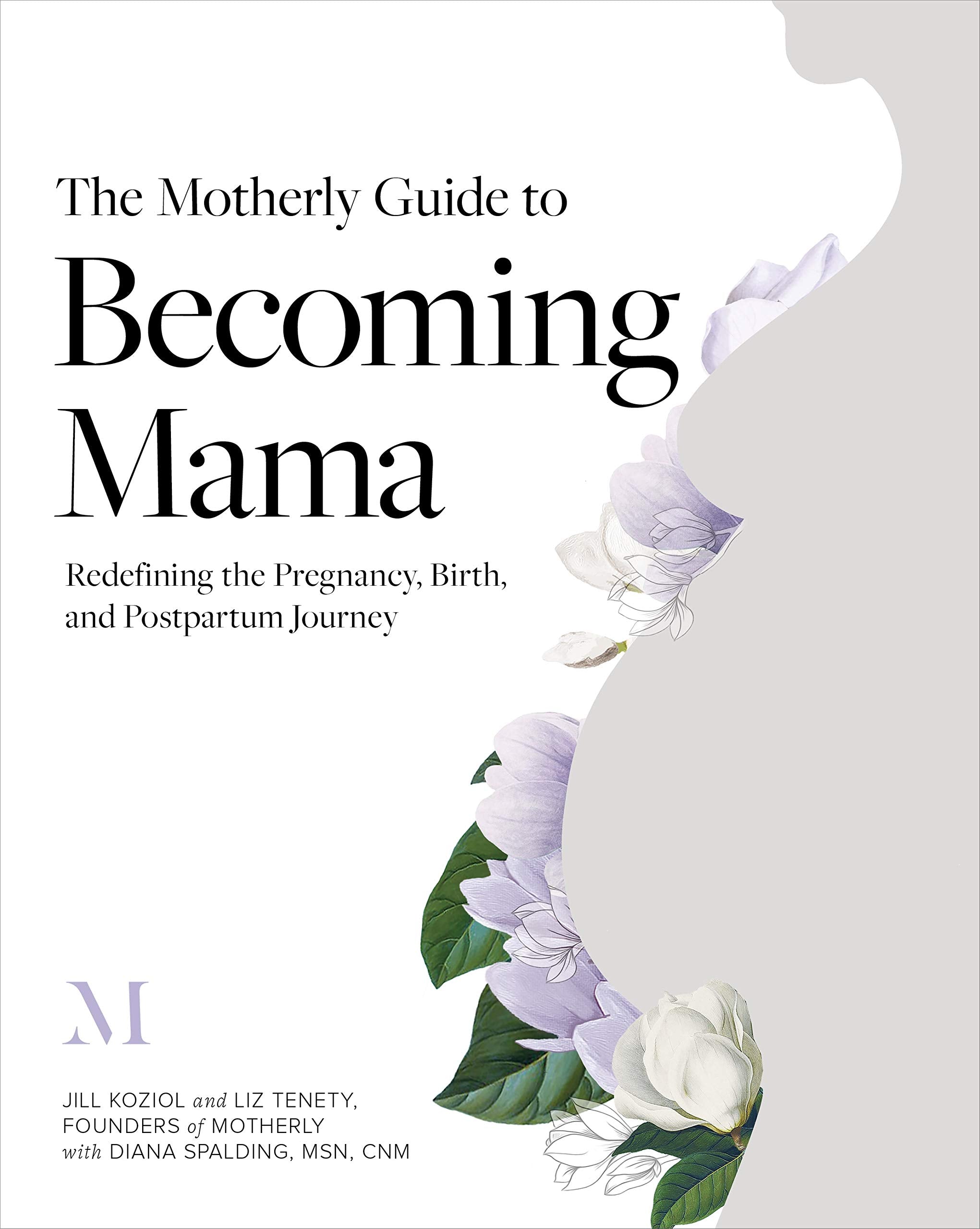 The Motherly Guide to Becoming Mama book
