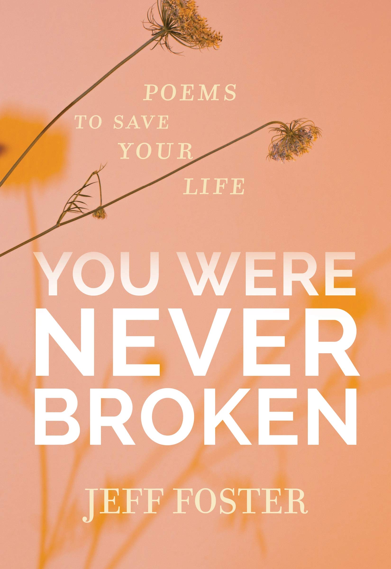 You Were Never Broken Poetry