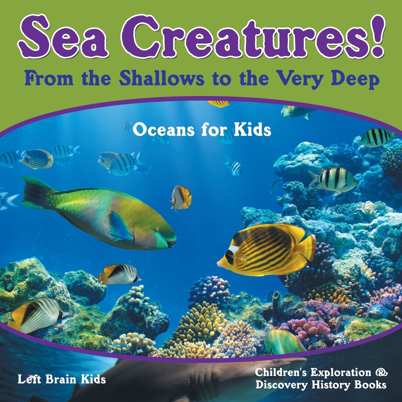 Sea Creatures! From the Shallows to the Very Deep - Oceans for Kids - Children's Exploration & Discovery History Books Non-fiction