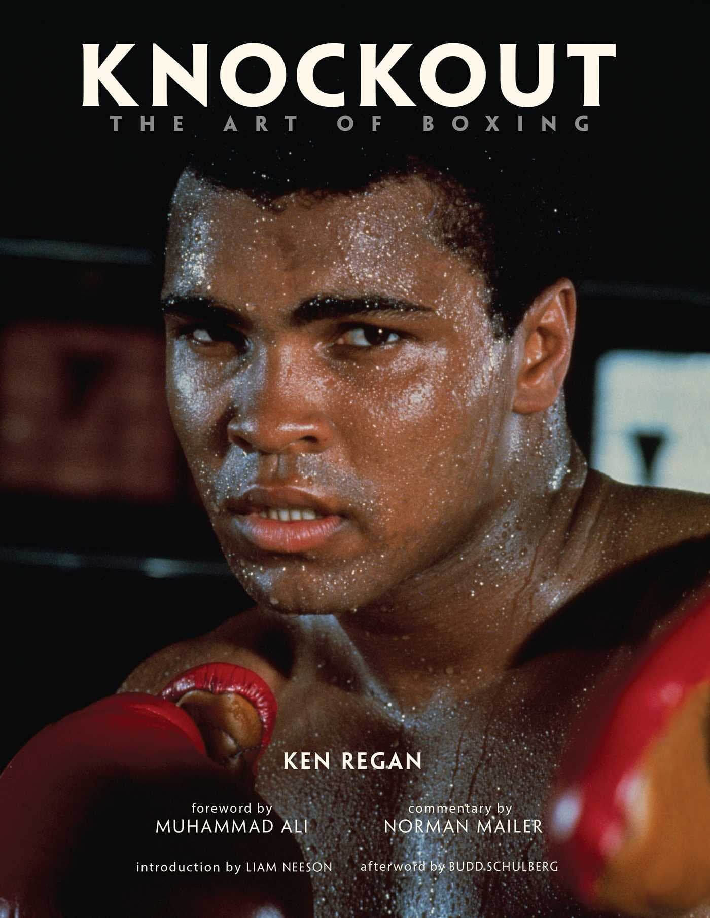Knockout: The Art of Boxing book