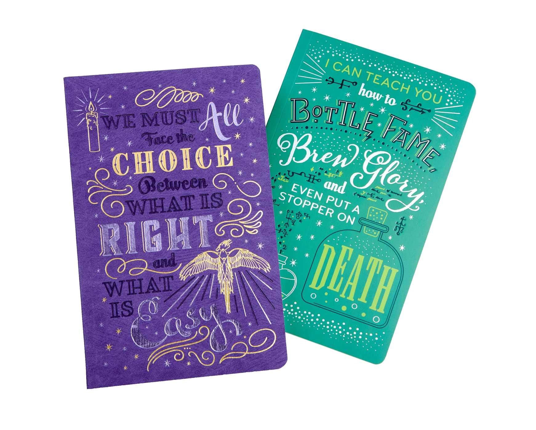 Harry Potter: Character Notebook Collection (Set of 2): Dumbledore and Snape Film, Art & Culture