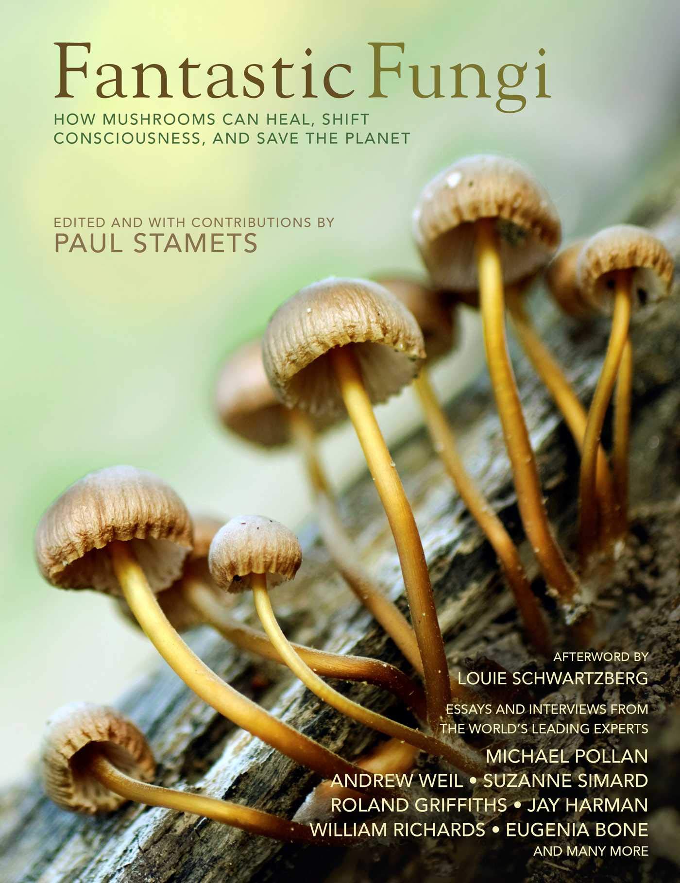 Fantastic Fungi: How Mushrooms Can Heal, Shift Consciousness, and Save the Planet Mathematics