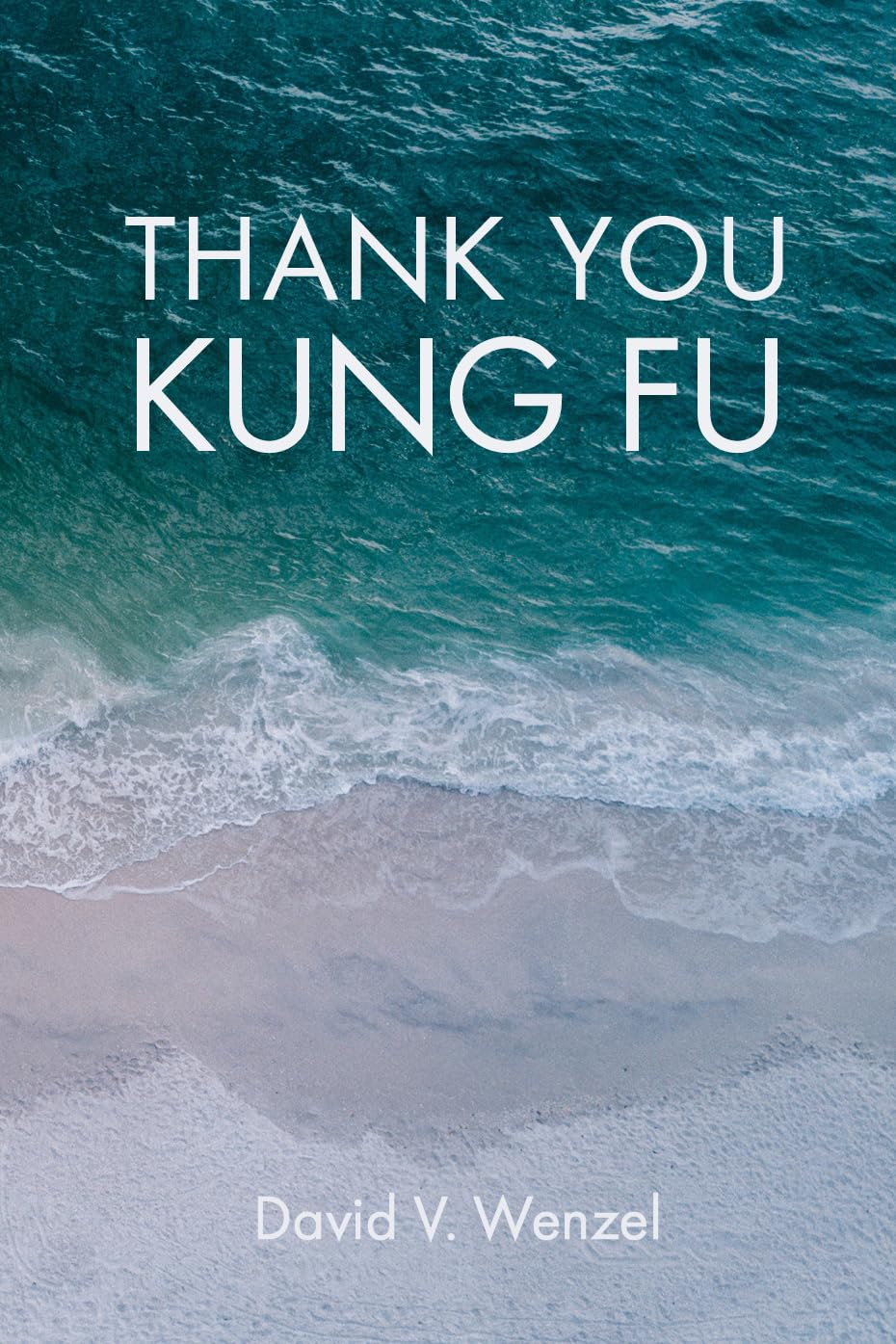 Product Image: Thank You Kung Fu