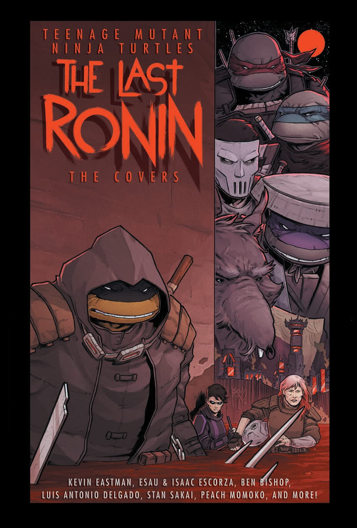 Teenage Mutant Ninja Turtles: The Last Ronin -- The Covers Books