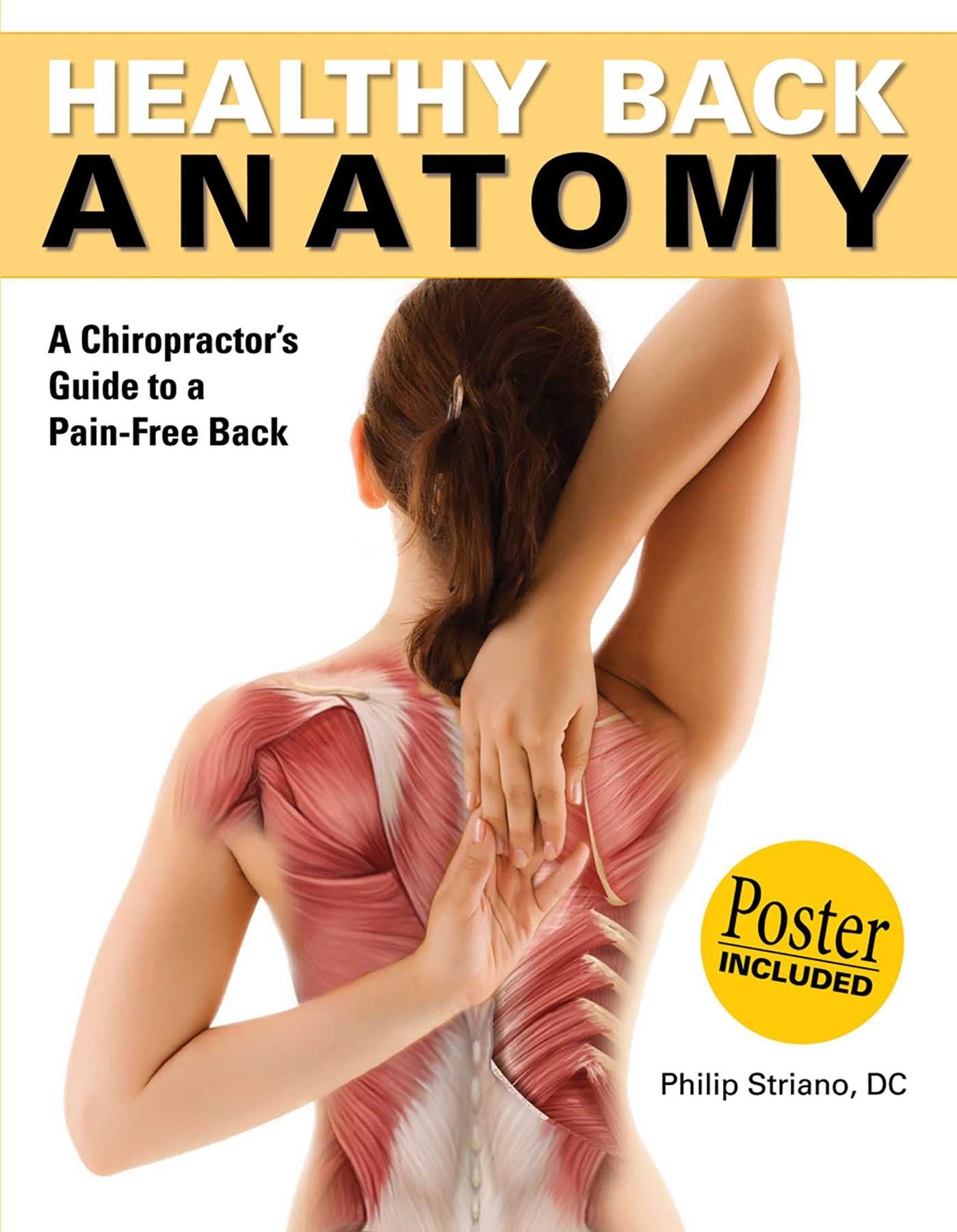 Healthy Back Anatomy: A Chiropractor's Guide to a Pain-free Back book