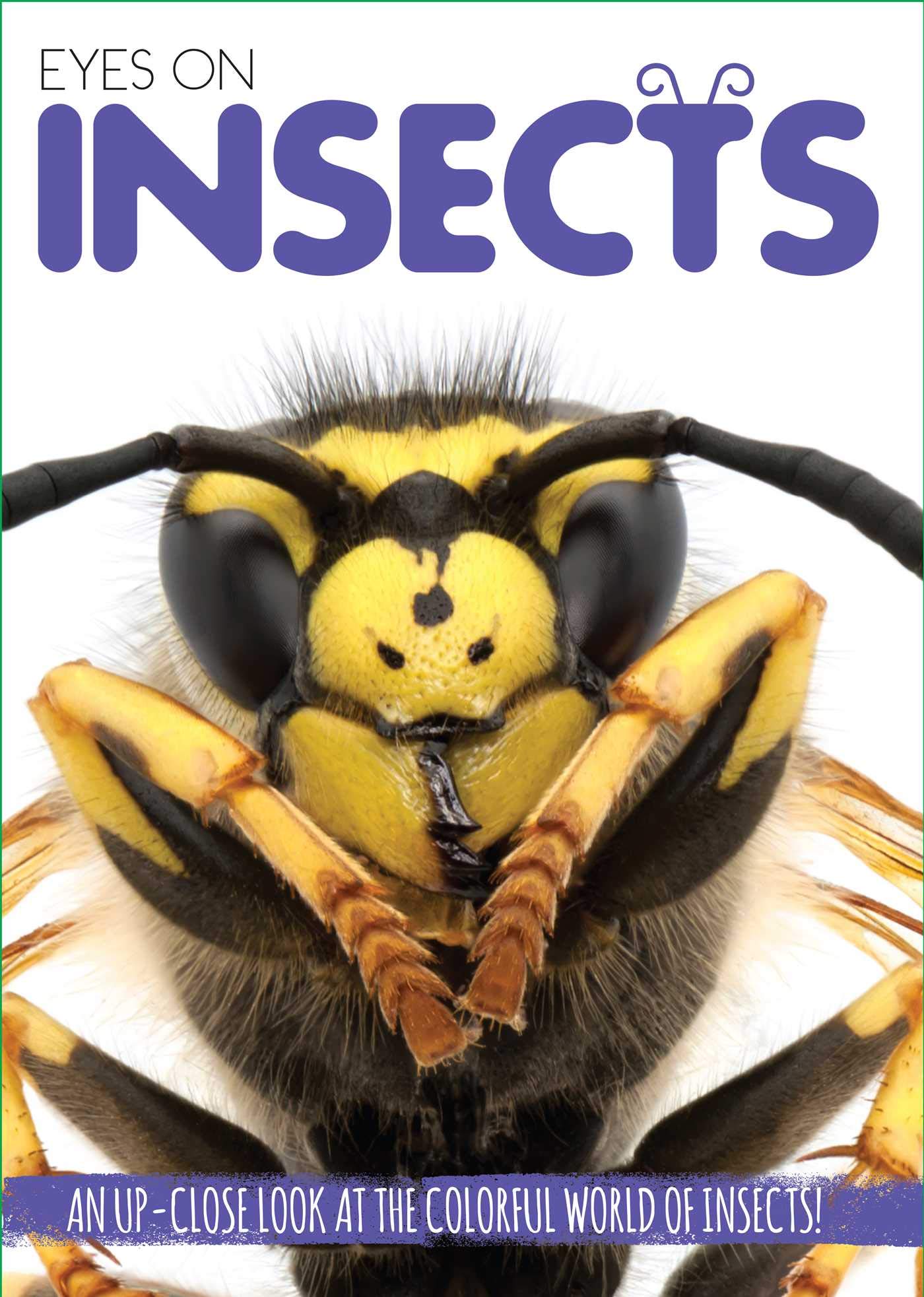 Eyes On Insects Leisure & Fun
