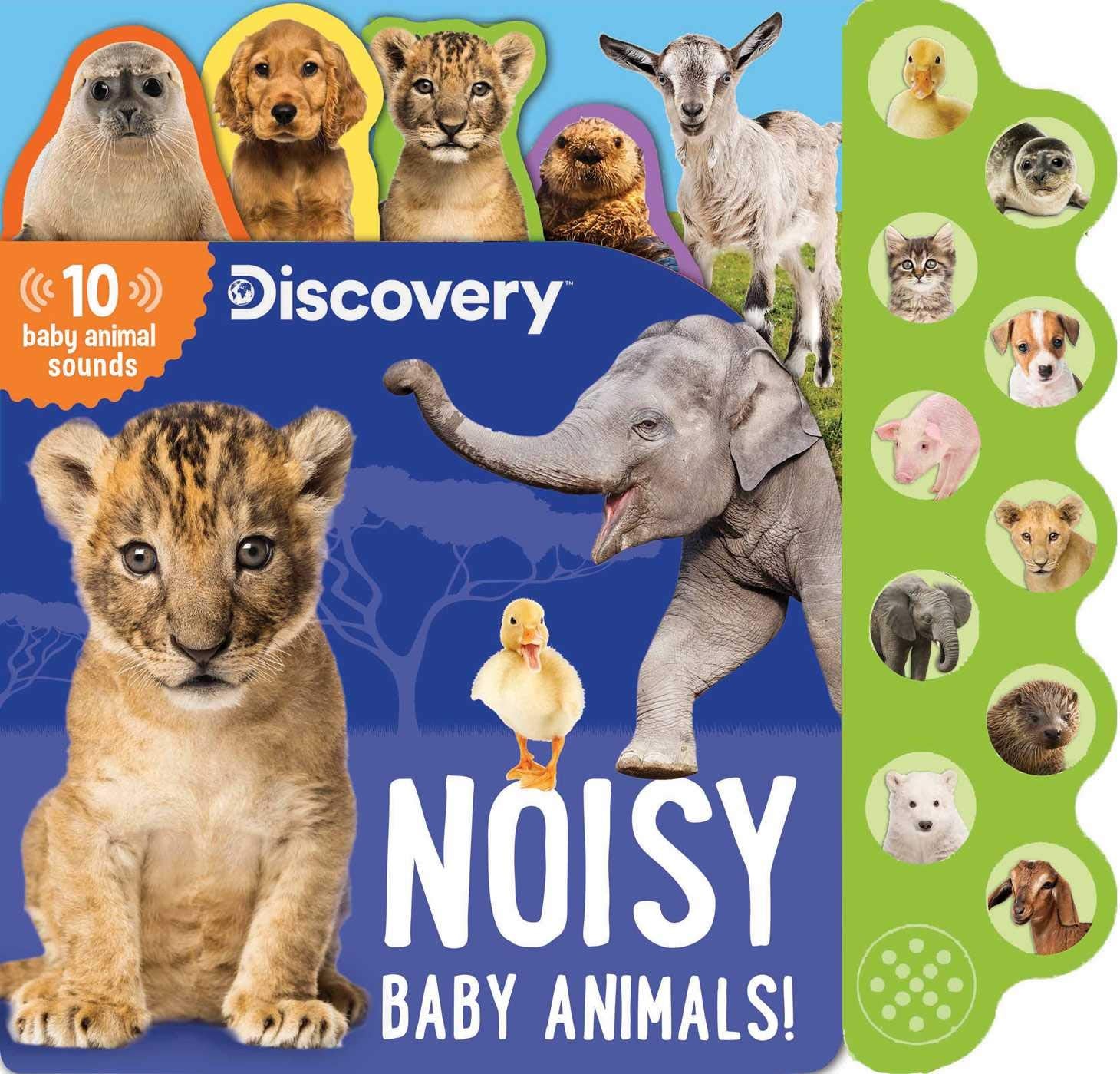 Discovery: Noisy Baby Animals! (10-Button Sound Books) Parents & Children