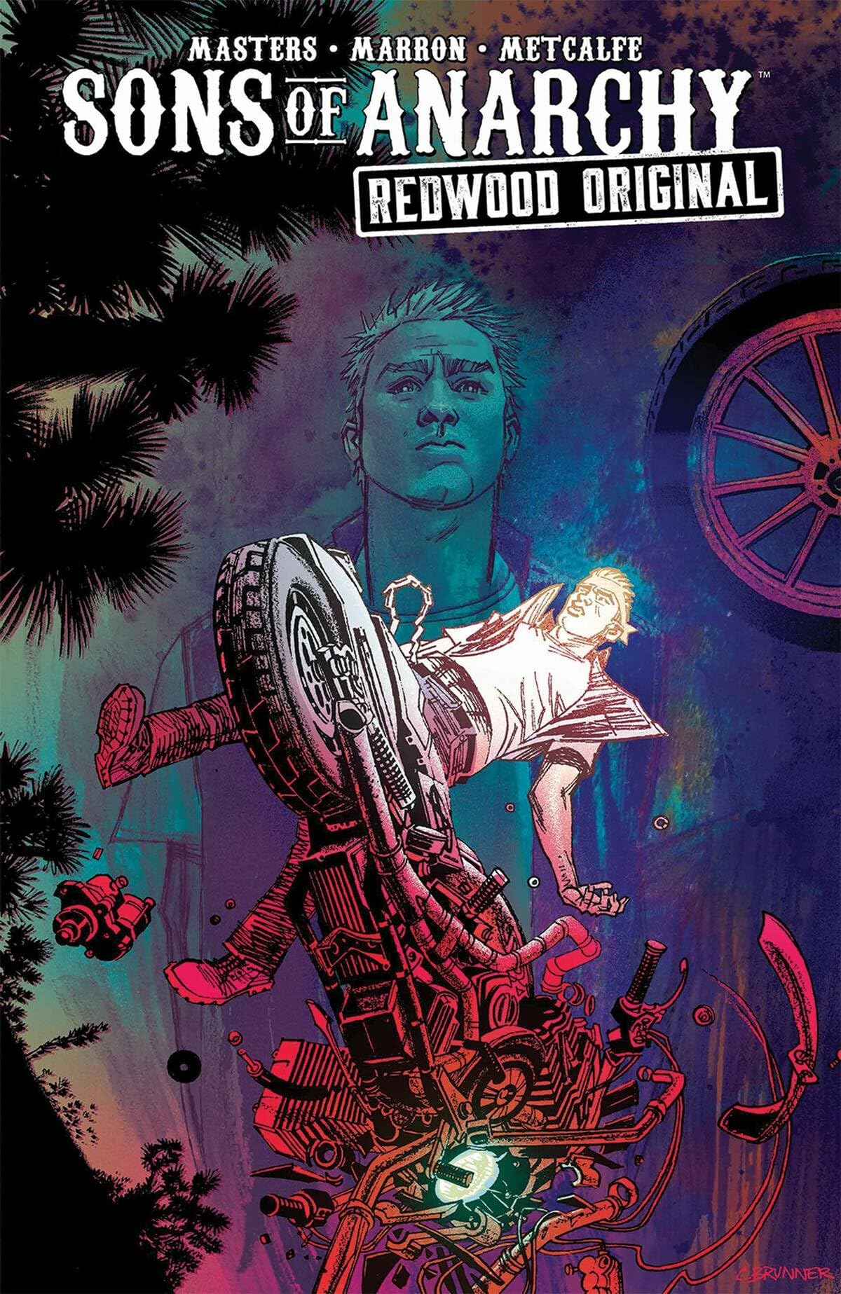 Product Image: Sons of Anarchy: Redwood Original Vol. 2, 2