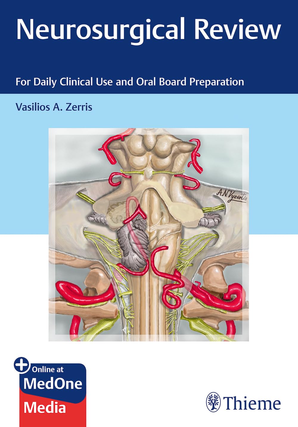 Neurosurgical Review: For Daily Clinical Use and Oral Board Preparation Medicine