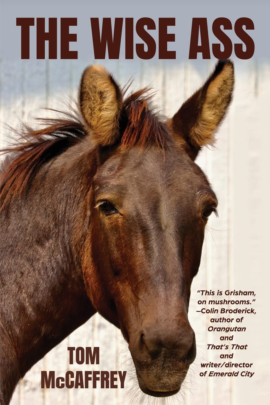 The Wise Ass (The Claire Saga, Band 1) Humour & Satire
