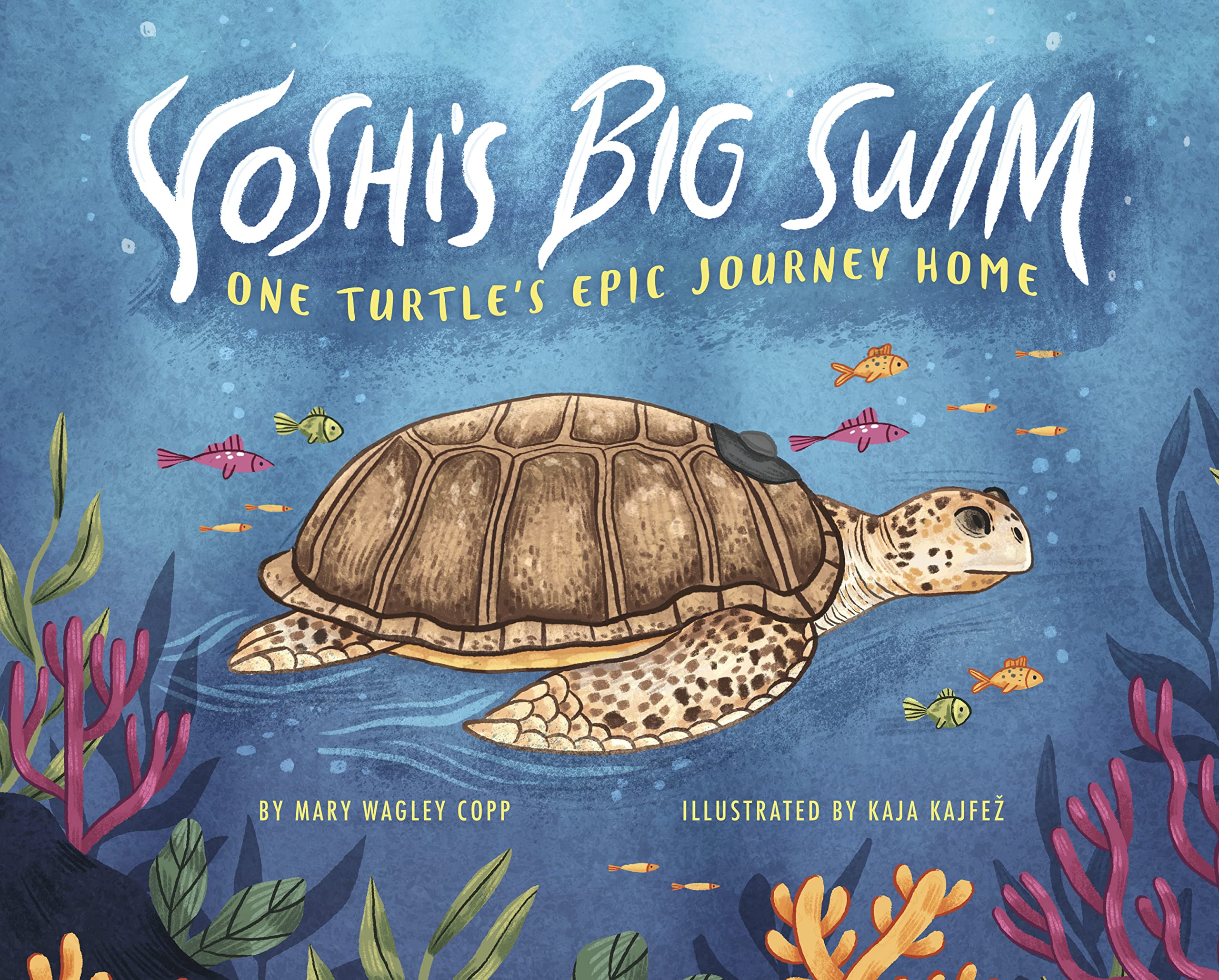 Yoshi's Big Swim Non-fiction