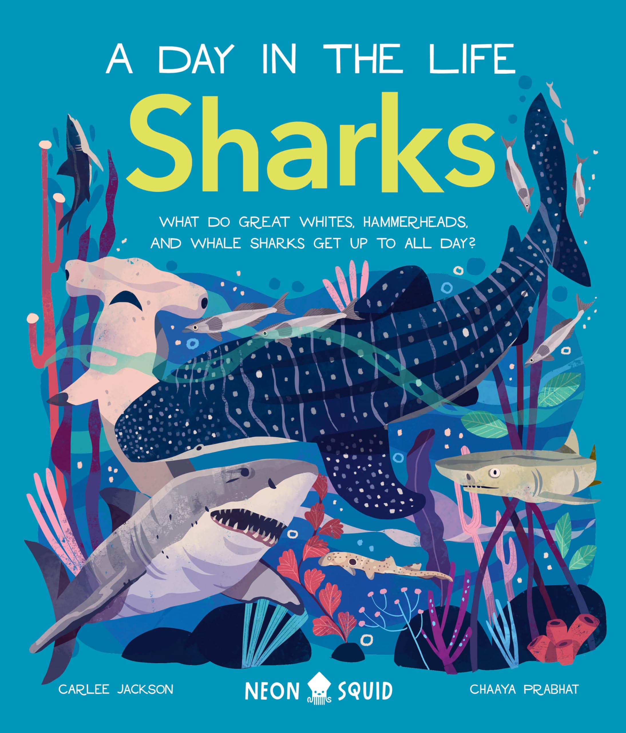 Sharks: What Do Great Whites, Hammerheads, and Whale Sharks Get Up to All Day? (A Day in the Life) Parents & Children