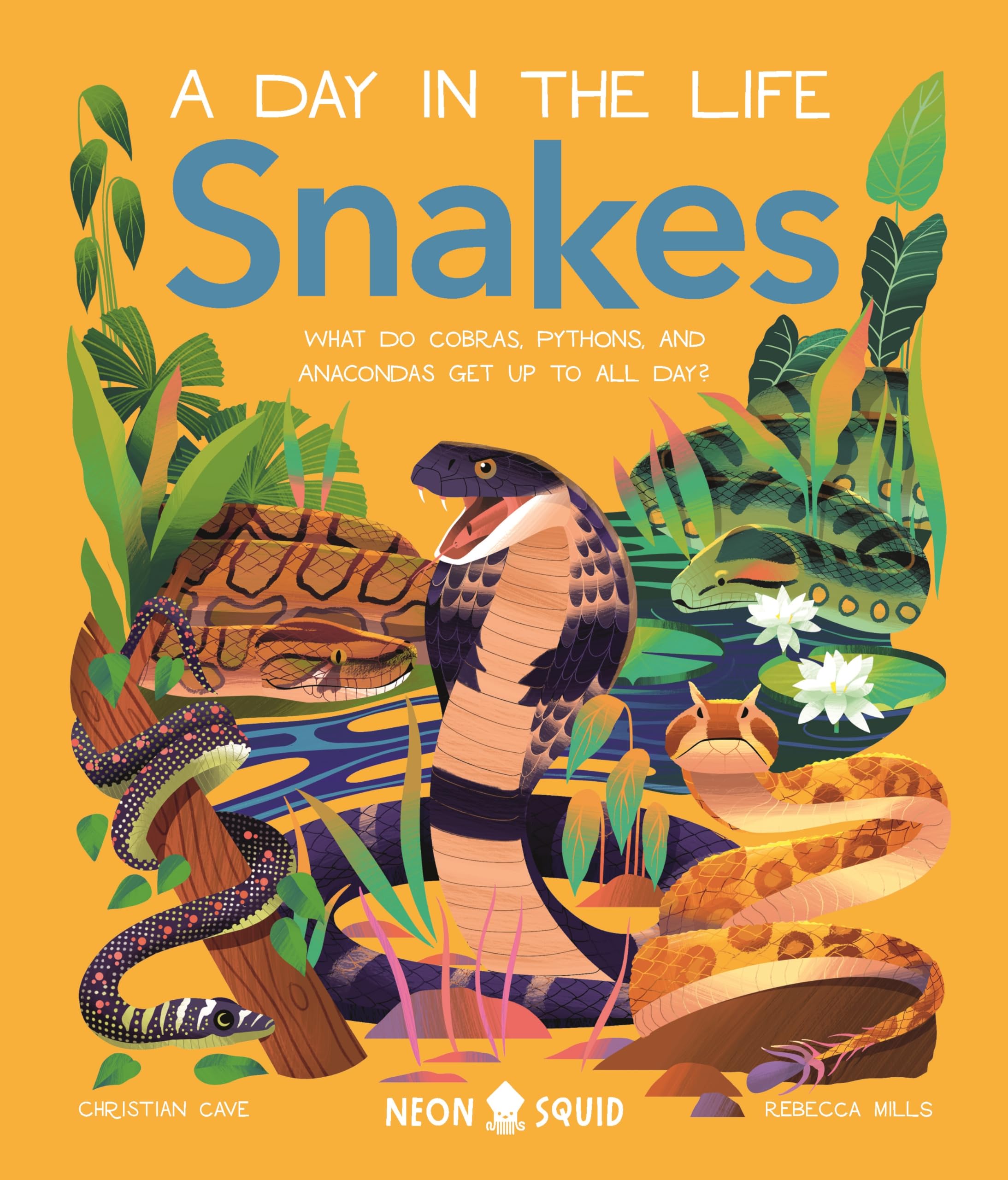 Snakes: What Do Cobras, Pythons, and Anacondas Get Up to All Day? (Day in the Life) Non-fiction