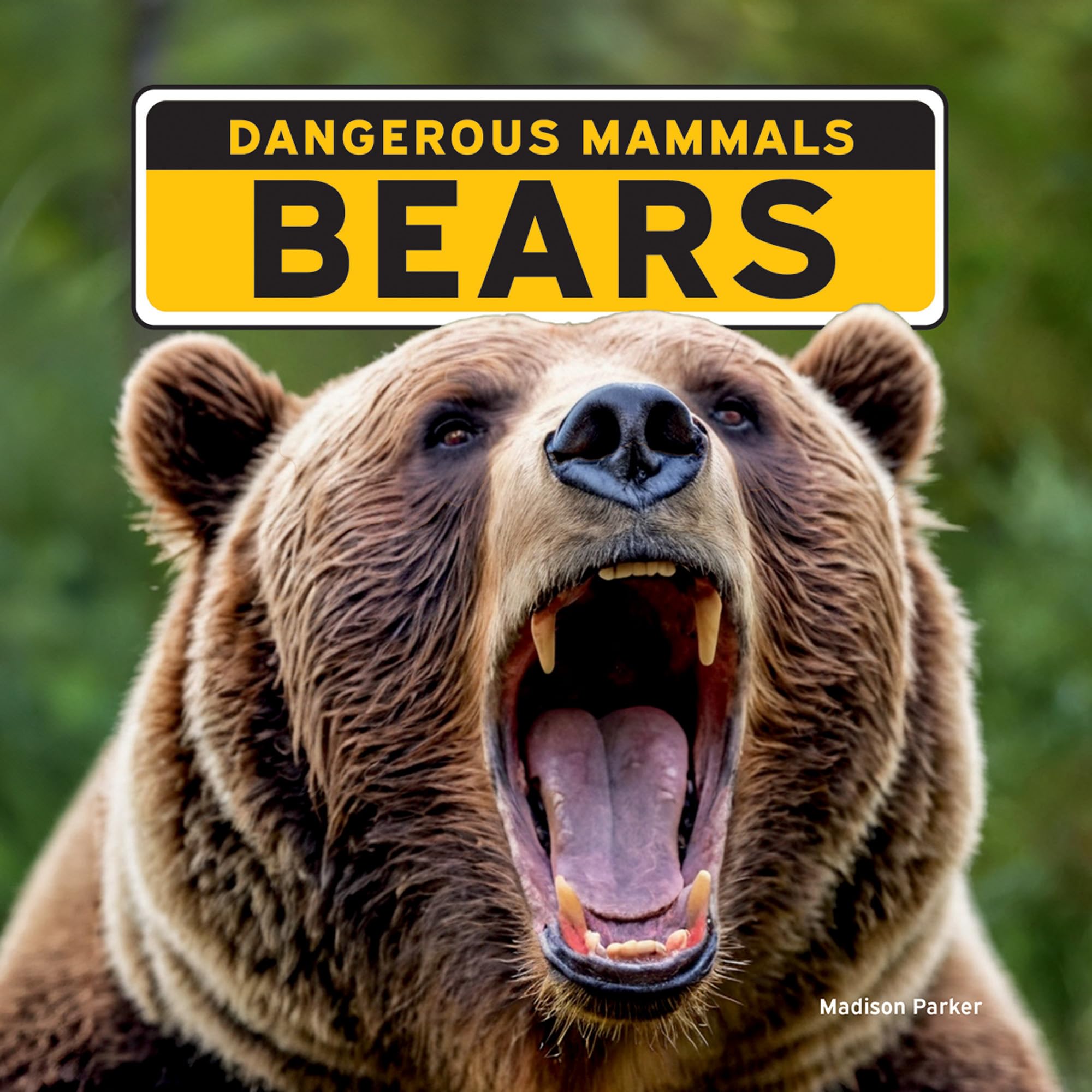 Bears Non-fiction